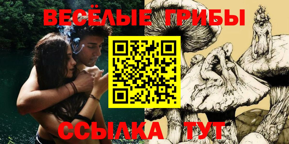 Галлюциногенные грибы Magic Shrooms  Вход с VPN  Галлюциногенные грибы Psilocybine cubensis  Ликино-Дулёво 